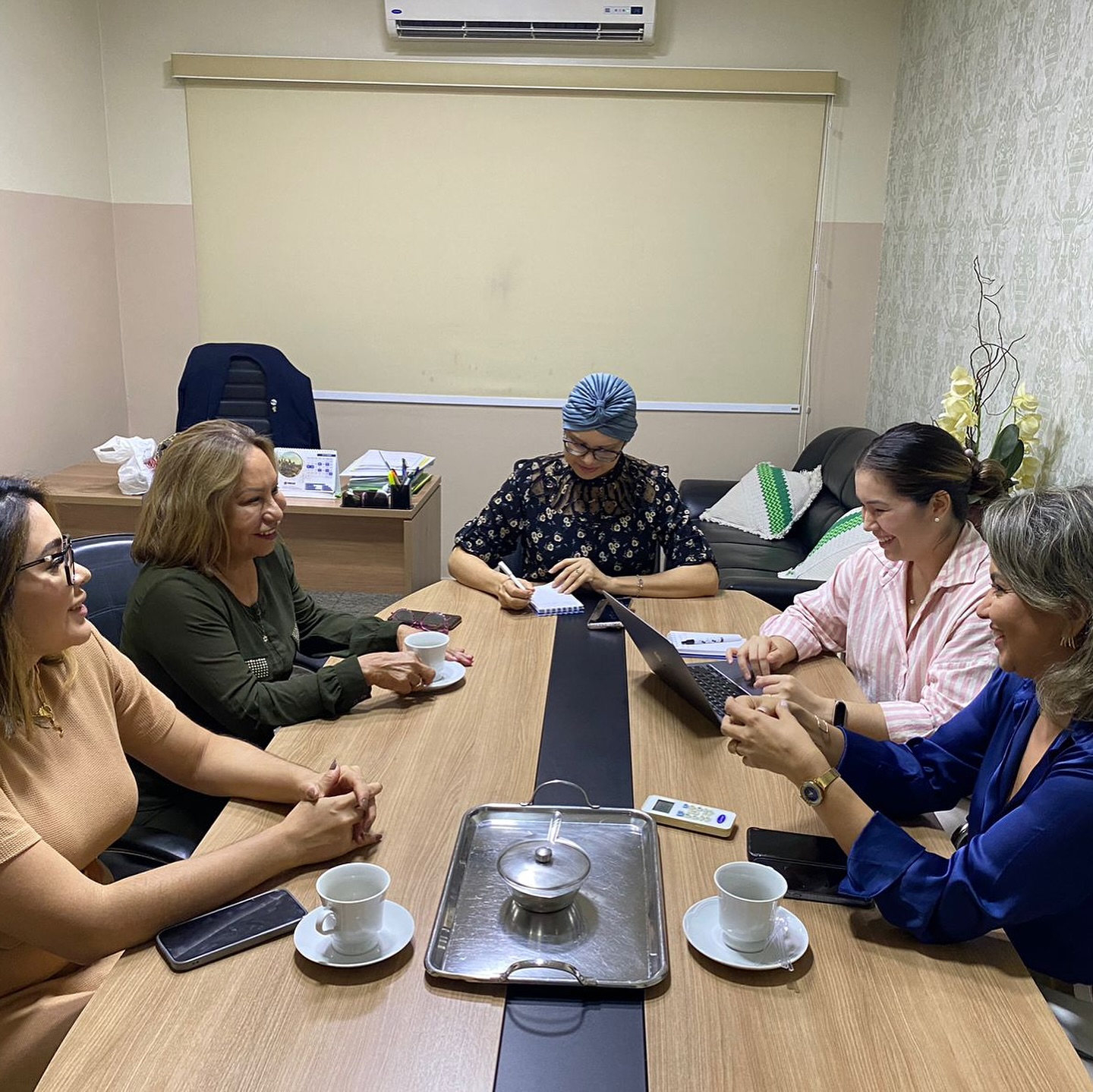 GTT de Est&eacute;tica e Cosmetologia Cl&iacute;nica do CRF-AM se re&uacute;ne para discutir formas de promover essas pr&aacute;ticas no estado