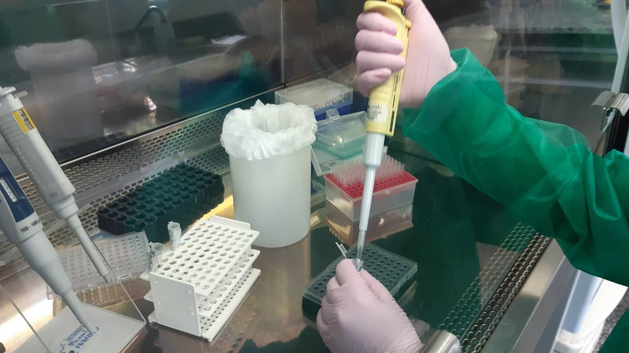 Julho amarelo: farmac&ecirc;uticos ajudam no combate &agrave;s hepatites virais